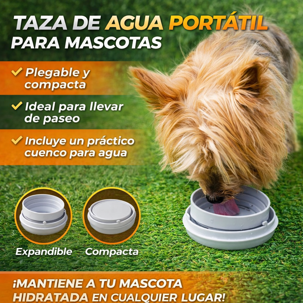 OmniLeash™ - ¡Un Paseo Todo Incluido!